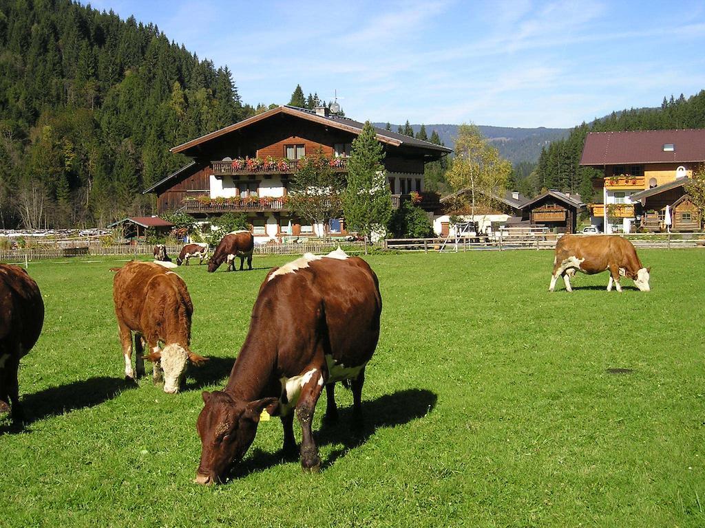 Farm stay Winklhuette Forstau (Salzburg)